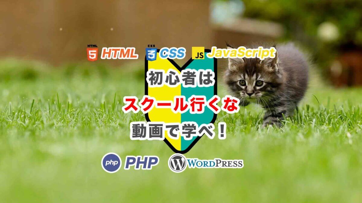 プログラミング動画講義