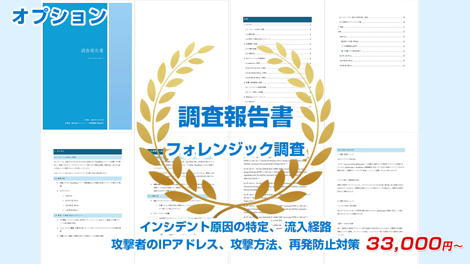 フォレンジック調査・インシデント原因の特定、流入経路、攻撃者のIPアドレス、攻撃方法、再発防止策など調査報告書を作成可能です。